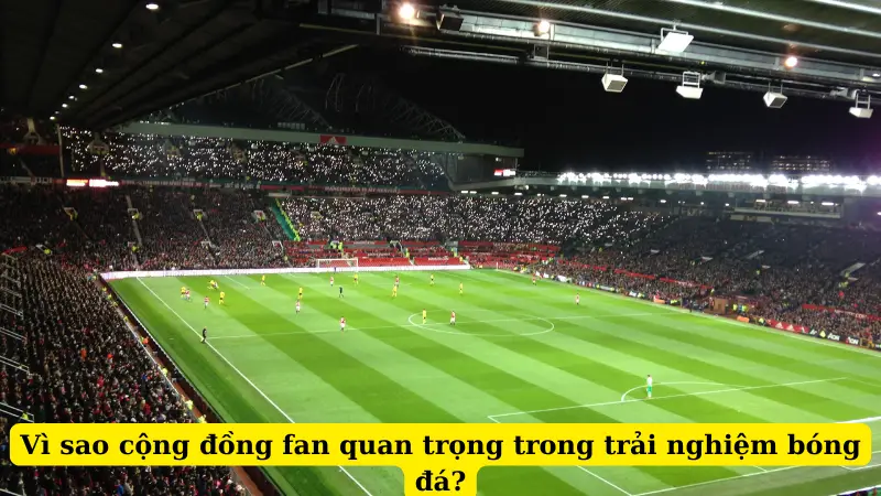 Vì sao cộng đồng fan quan trọng trong trải nghiệm bóng đá?